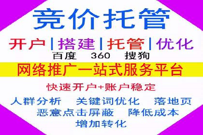 网络推广竞价策略解析与应用案例